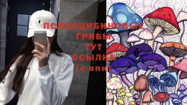 спиды Волосово